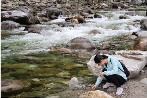 皇家国际·(中国区)有限公司官网