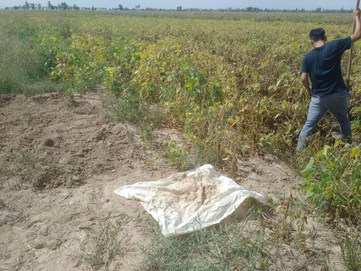 皇家国际·(中国区)有限公司官网