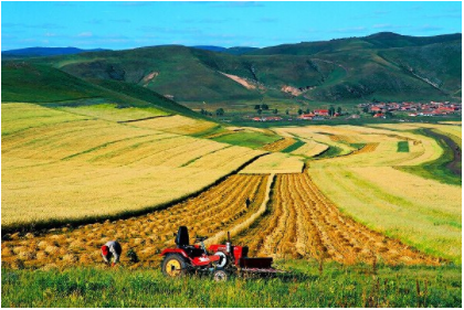 皇家国际·(中国区)有限公司官网