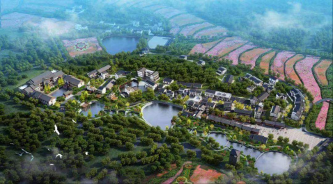 皇家国际·(中国区)有限公司官网