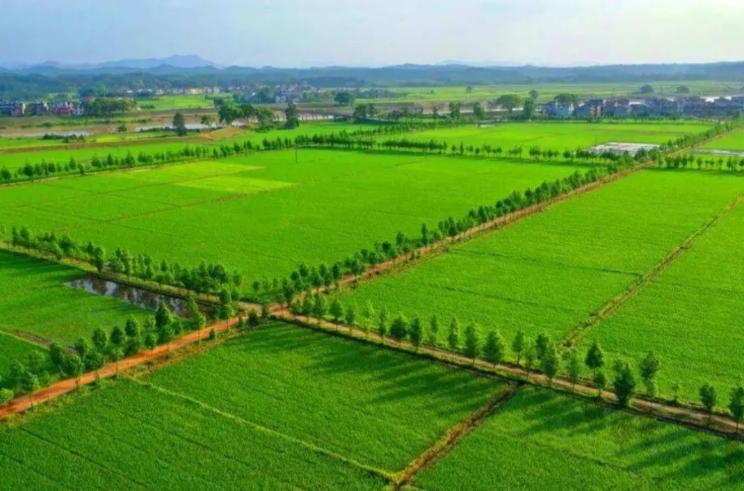 皇家国际·(中国区)有限公司官网