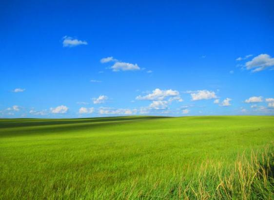 皇家国际·(中国区)有限公司官网