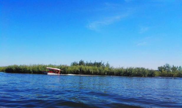 皇家国际·(中国区)有限公司官网