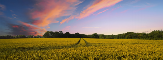 皇家国际·(中国区)有限公司官网