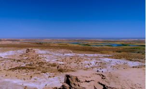 皇家国际·(中国区)有限公司官网