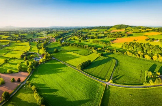 皇家国际·(中国区)有限公司官网